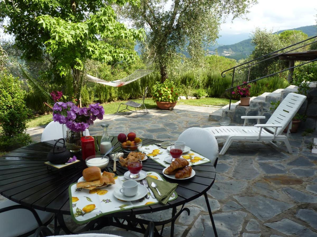 La Gatta Sul Sentiero Bed & Breakfast San Salvatore  Exterior photo